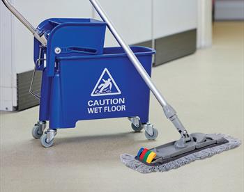 Flat Mops & Floor Dusting